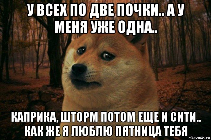 у всех по две почки.. а у меня уже одна.. каприка, шторм потом еще и сити.. как же я люблю пятница тебя, Мем SAD DOGE