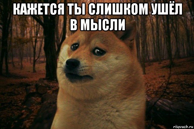 кажется ты слишком ушёл в мысли , Мем SAD DOGE