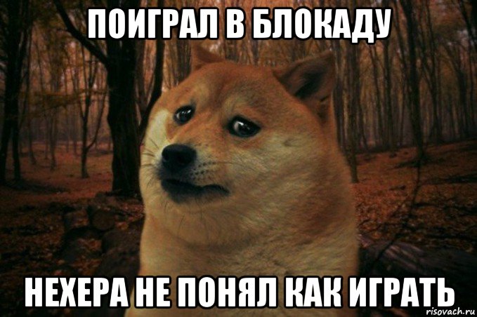 поиграл в блокаду нехера не понял как играть, Мем SAD DOGE