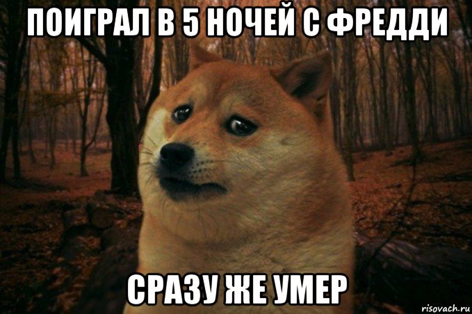 поиграл в 5 ночей с фредди сразу же умер, Мем SAD DOGE