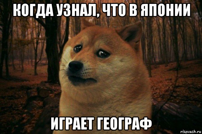 когда узнал, что в японии играет географ, Мем SAD DOGE