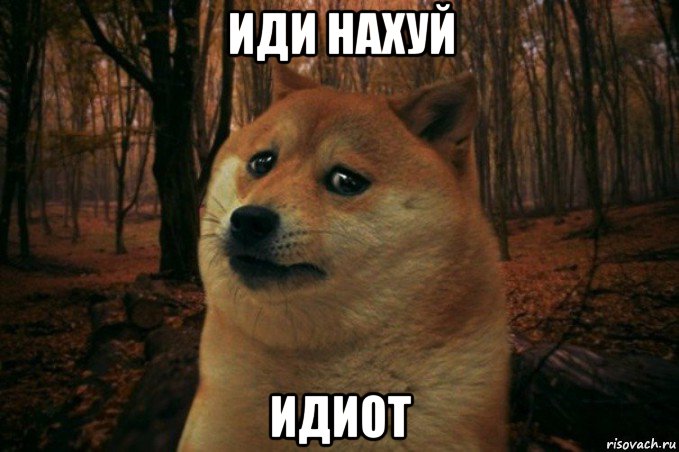 иди нахуй идиот, Мем SAD DOGE