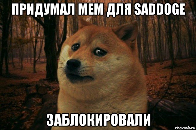 придумал мем для saddoge заблокировали, Мем SAD DOGE