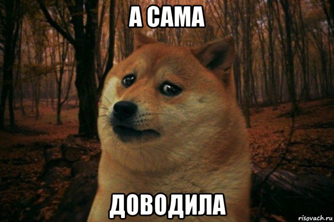 а сама доводила, Мем SAD DOGE