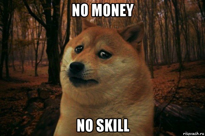 no money no skill, Мем SAD DOGE