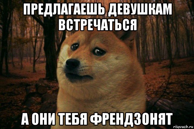 предлагаешь девушкам встречаться а они тебя френдзонят, Мем SAD DOGE