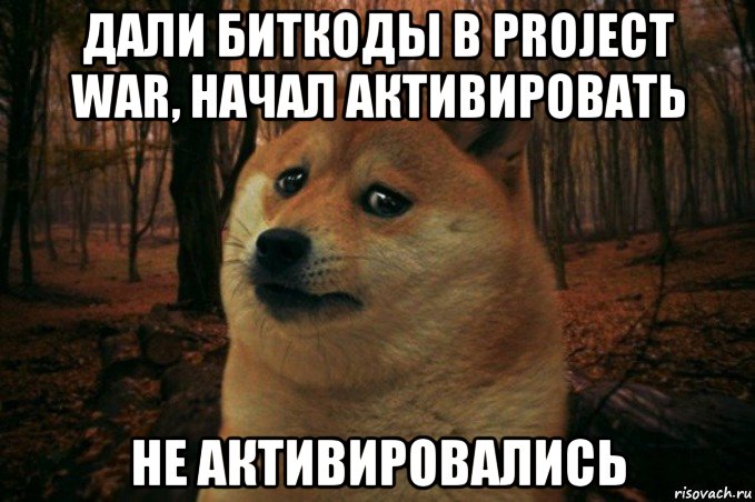 дали биткоды в project war, начал активировать не активировались, Мем SAD DOGE