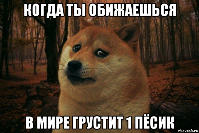 когда ты обижаешься в мире грустит 1 пёсик, Мем SAD DOGE