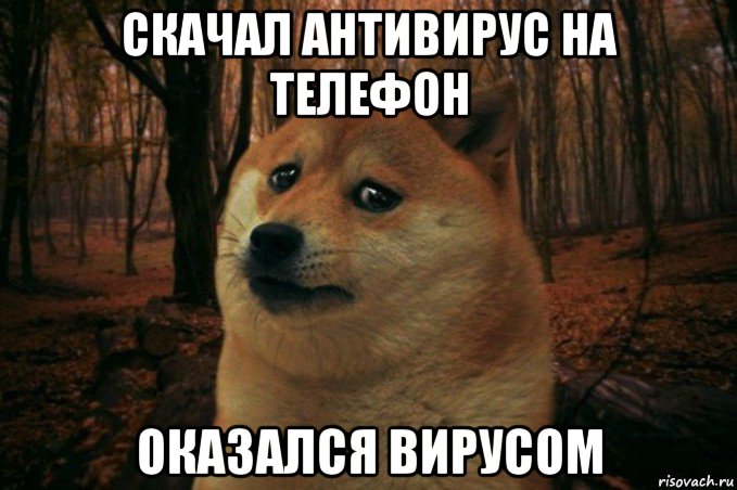 скачал антивирус на телефон оказался вирусом, Мем SAD DOGE