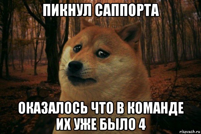 пикнул саппорта оказалось что в команде их уже было 4, Мем SAD DOGE