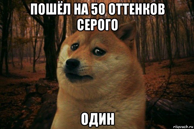 пошёл на 50 оттенков серого один, Мем SAD DOGE