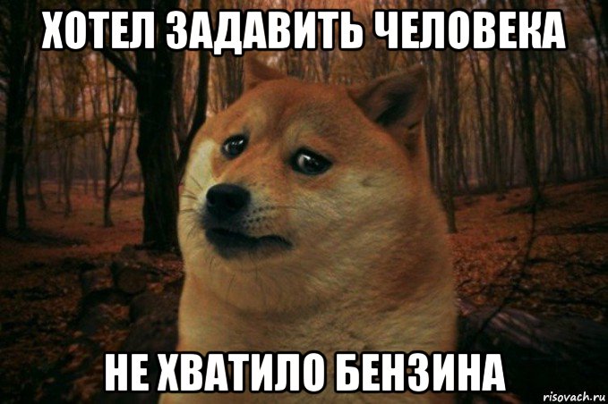 хотел задавить человека не хватило бензина, Мем SAD DOGE