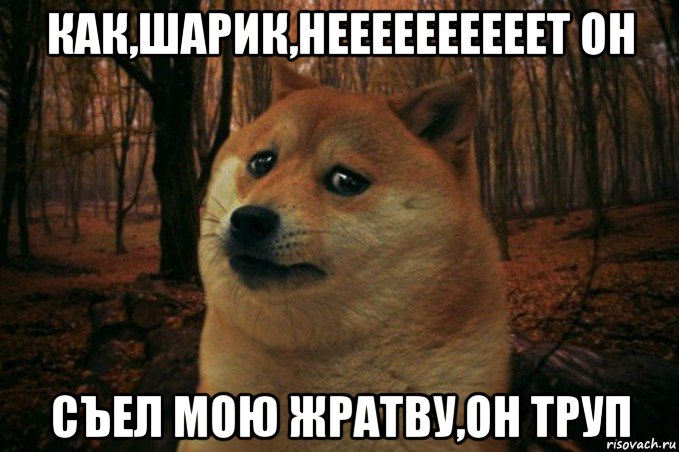 как,шарик,неееееееееет он съел мою жратву,он труп, Мем SAD DOGE