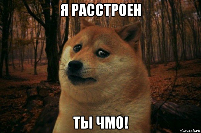 я расстроен ты чмо!, Мем SAD DOGE