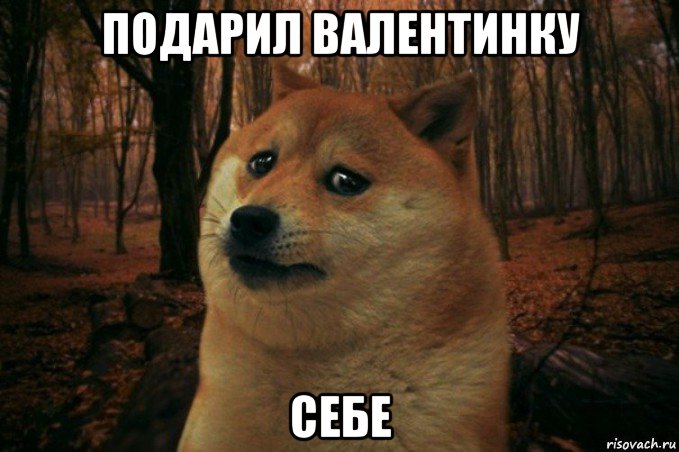 подарил валентинку себе, Мем SAD DOGE