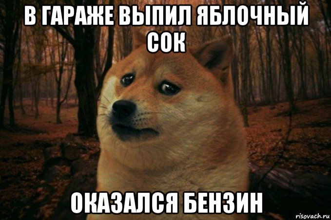 в гараже выпил яблочный сок оказался бензин, Мем SAD DOGE