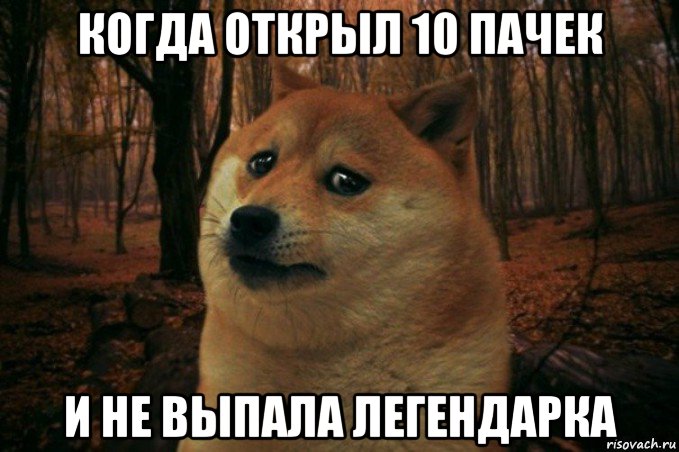 когда открыл 10 пачек и не выпала легендарка, Мем SAD DOGE