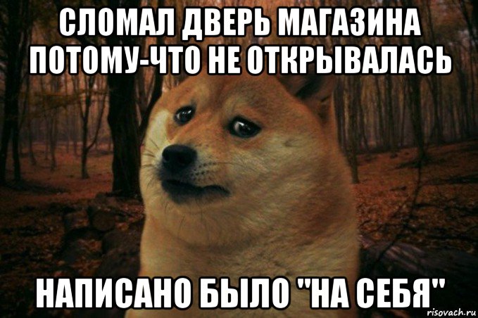 сломал дверь магазина потому-что не открывалась написано было "на себя", Мем SAD DOGE