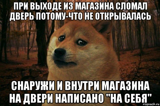 при выходе из магазина сломал дверь потому-что не открывалась снаружи и внутри магазина на двери написано "на себя", Мем SAD DOGE