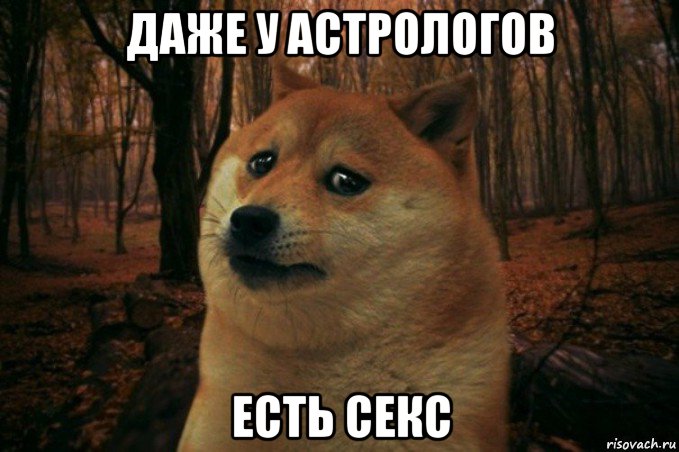 даже у астрологов есть секс, Мем SAD DOGE