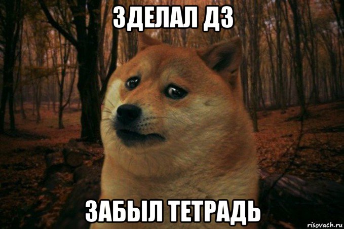 зделал дз забыл тетрадь, Мем SAD DOGE