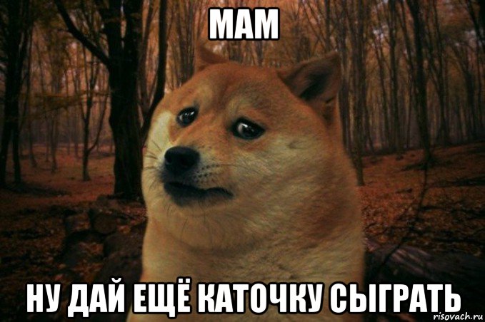 мам ну дай ещё каточку сыграть, Мем SAD DOGE