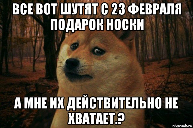 все вот шутят с 23 февраля подарок носки а мне их действительно не хватает.?, Мем SAD DOGE