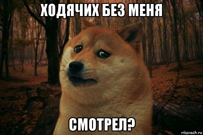 ходячих без меня смотрел?, Мем SAD DOGE