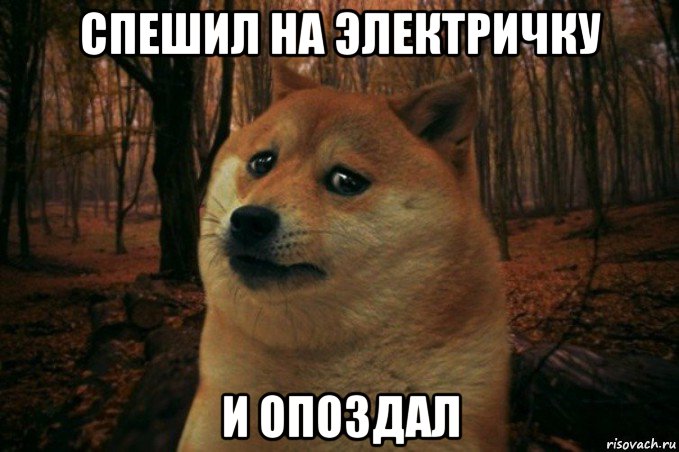 спешил на электричку и опоздал, Мем SAD DOGE