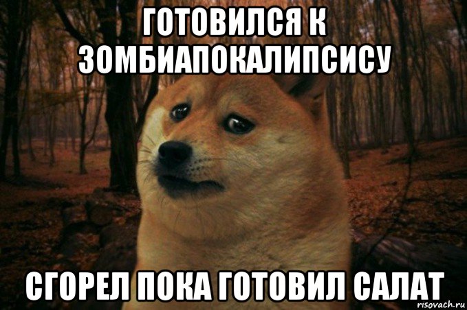 готовился к зомбиапокалипсису сгорел пока готовил салат, Мем SAD DOGE