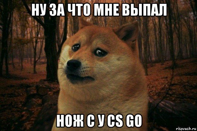 ну за что мне выпал нож с у cs go, Мем SAD DOGE