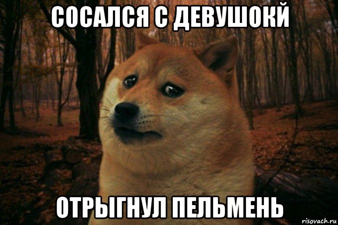 сосался с девушокй отрыгнул пельмень, Мем SAD DOGE