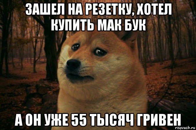 зашел на резетку, хотел купить мак бук а он уже 55 тысяч гривен, Мем SAD DOGE