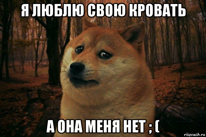 я люблю свою кровать а она меня нет ; (, Мем SAD DOGE