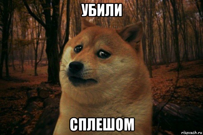 убили сплешом, Мем SAD DOGE