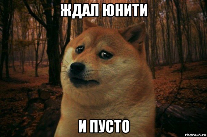 ждал юнити и пусто, Мем SAD DOGE