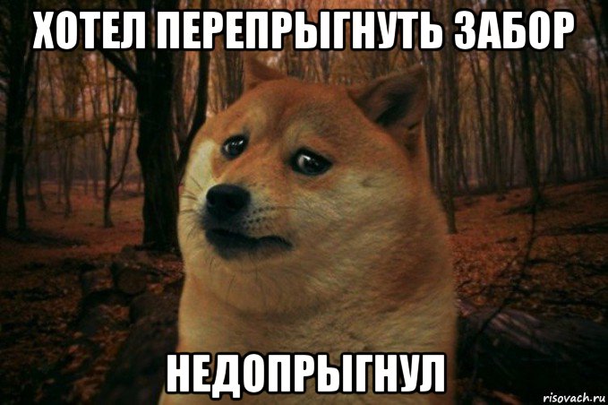 хотел перепрыгнуть забор недопрыгнул, Мем SAD DOGE