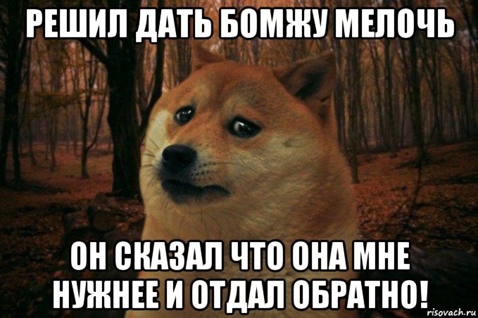 решил дать бомжу мелочь он сказал что она мне нужнее и отдал обратно!, Мем SAD DOGE