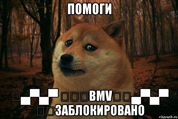 помоги ◤▄▀▄▀ ✔♚✵bmv✵◤▄▀▄▀ ✔♚заблокировано, Мем SAD DOGE