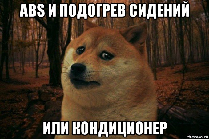 abs и подогрев сидений или кондиционер, Мем SAD DOGE