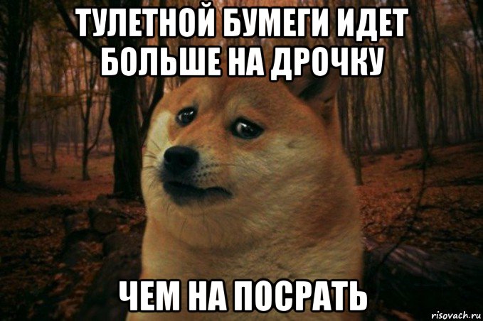 тулетной бумеги идет больше на дрочку чем на посрать, Мем SAD DOGE