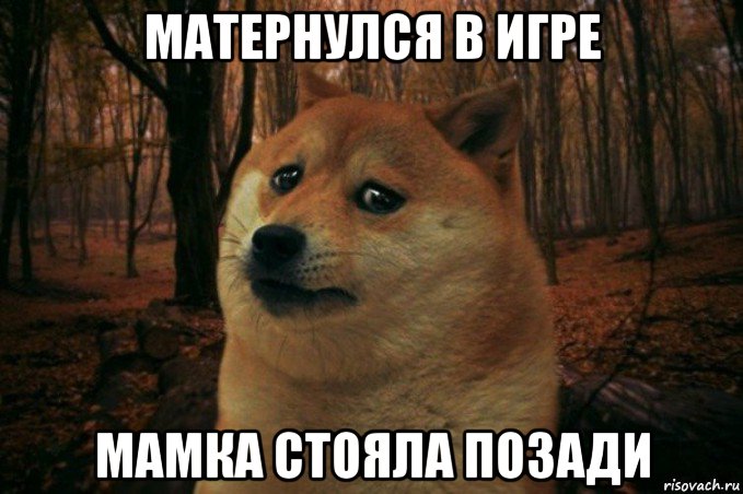 матернулся в игре мамка стояла позади, Мем SAD DOGE