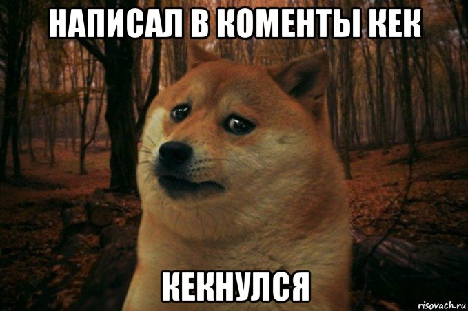 написал в коменты кек кекнулся, Мем SAD DOGE