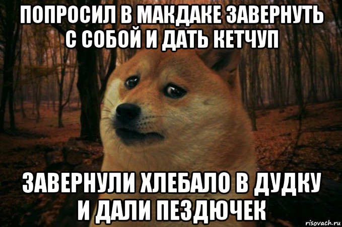 попросил в макдаке завернуть с собой и дать кетчуп завернули хлебало в дудку и дали пездючек, Мем SAD DOGE