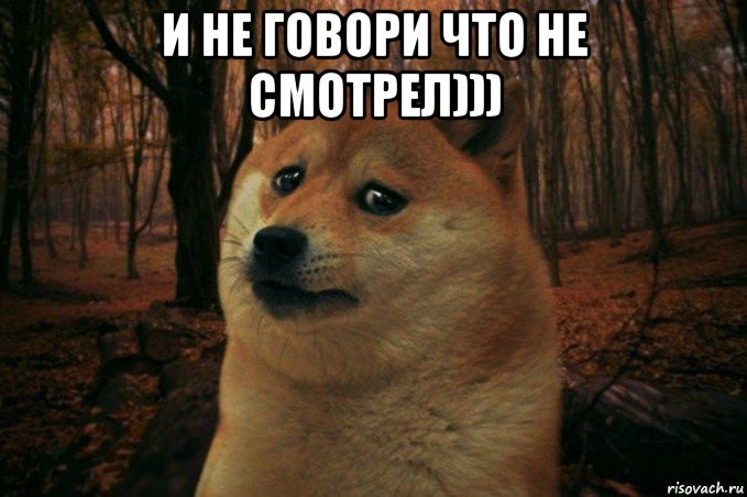 и не говори что не смотрел))) , Мем SAD DOGE