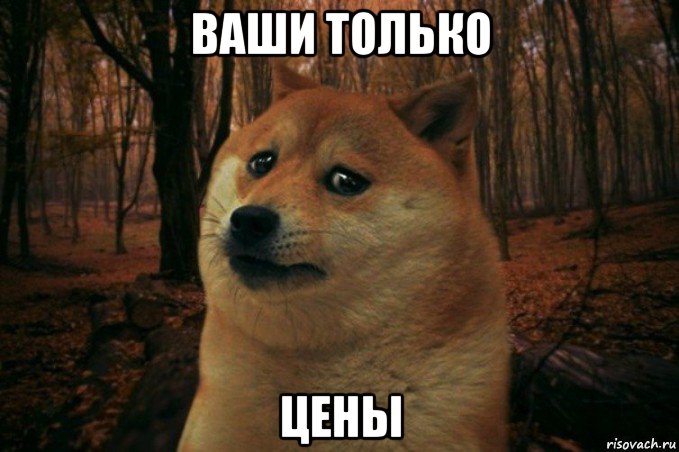 ваши только цены, Мем SAD DOGE