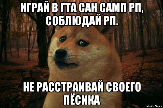 играй в гта сан самп рп, соблюдай рп. не расстраивай своего пёсика, Мем SAD DOGE