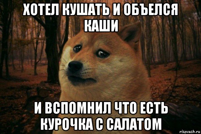 хотел кушать и объелся каши и вспомнил что есть курочка с салатом, Мем SAD DOGE