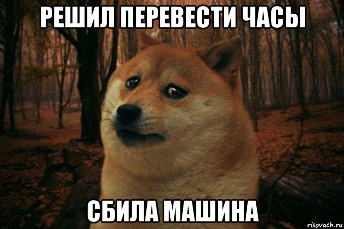 решил перевести часы сбила машина, Мем SAD DOGE