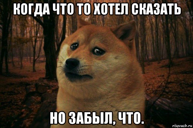 когда что то хотел сказать но забыл, что., Мем SAD DOGE